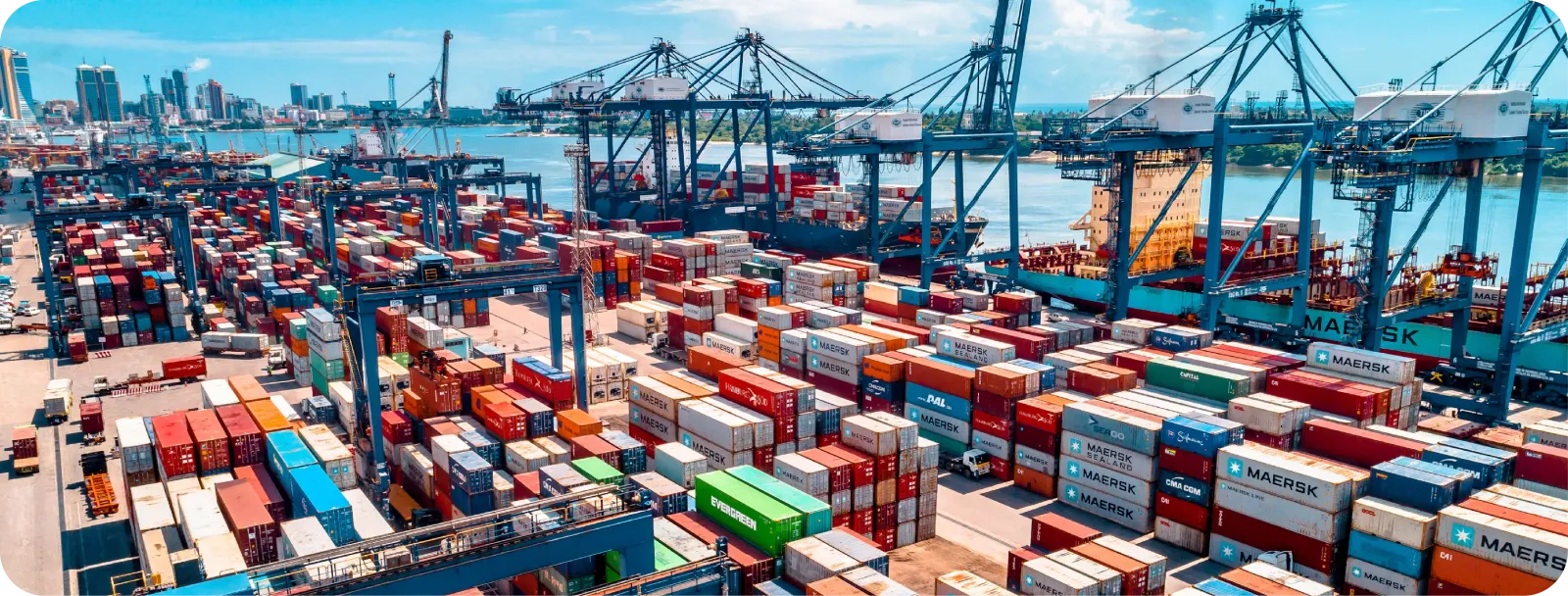 Global Supply Chain & Logistics